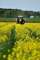 Fertilizer spreading in a rapeseed field on a sunny day Generative AI