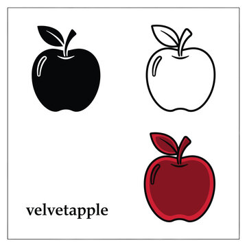 Velvet apple fruit black silhouette contour and colorful hand drawn sketch isolated vector