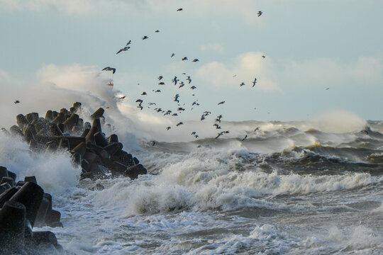 Powerful Baltic Sea storm hitting Liepaja harbor breakwater with crashing waves and flying seabirds