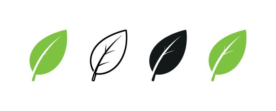 Leaf Consumption Variations. Responsible consumption concept shown as a single green leaf with smooth edges and central vein