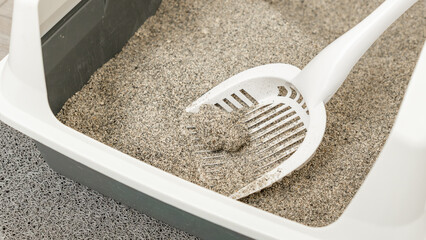 Cat litter box with gray sand and white scoop, showing a clean and organized pet care environment for indoor cats © JuliaDorian