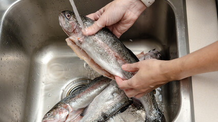 Person washing fresh trout fish in a stainless steel sink with water running, multiple fish visible in the basin © JuliaDorian