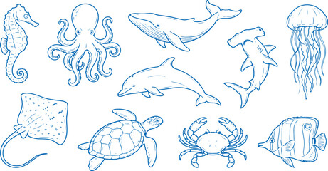 Blue line drawings of various ocean creatures including fish dolphins whales and sea turtles on white background for aquatic designs © Meizan 