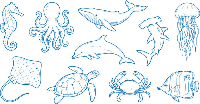 Blue line drawings of various ocean creatures including fish dolphins whales and sea turtles on white background for aquatic designs