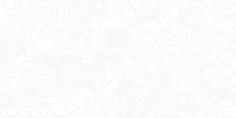 Abstract Topographic Map Background with Vintage Contour Lines and White Wave Relief  Seamless Geographic Terrain Grid Vector for Cartography and Landscape Design © Mirror