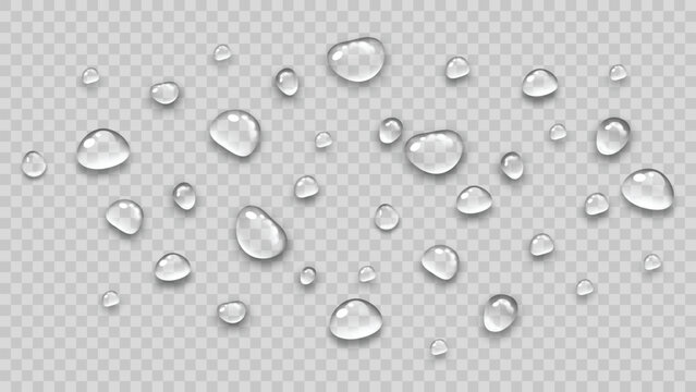 Realistic water drops, transparent clear rain droplets on surface, vector illustration for background or overlay