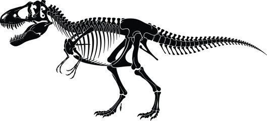 Tyrannosaurus rex skeleton silhouette illustration, prehistoric dinosaur fossil bones black and white vector isolated on clean background © Md Rofequl Islam