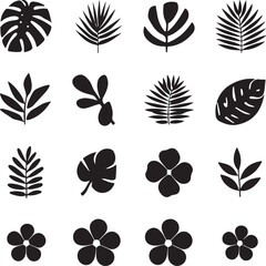 Tropical leaves silhouettes set with monstera and palm © শিরি 