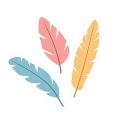 Obraz premium colorful bird feathers set, vibrant decorative plumage collection - vector illustration