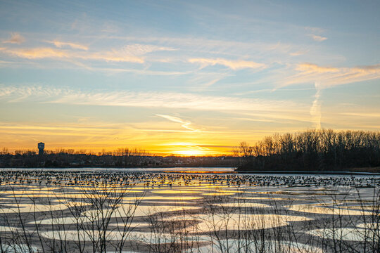 The scenic sunset views of Ada Hayden Heritage Park is a haven for wildlife of all kinds, including migratory birds in Ames, Iowa.