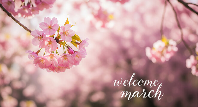 Pink cherry blossoms blooming on branch with welcome march text soft bokeh background