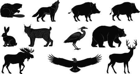 Collection of wild forest animal silhouettes including bear wolf moose deer flying eagle and wild boar on white background. © Ruhul