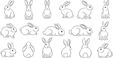 Set of continuous line drawing outline vector illustrations of cute fluffy rabbits in various playful and sitting poses. © Ruhul