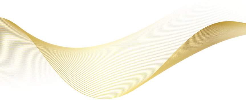 Luxury abstract gold wavy line pattern (guilloche curves) with copy space. Elegant golden color smooth gradient on white background. Premium vector striped texture for banner, business backdrop.