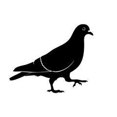Obraz premium vector silhouette of a pigeon