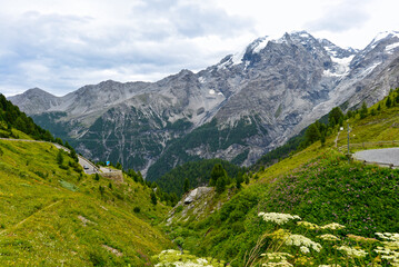 Obraz premium Blick von der Franzenshöhe am Stilfser Joch auf den Ortler in Südtirol