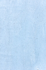 Fototapeta premium Eucalyptus Bark Texture Macro Background