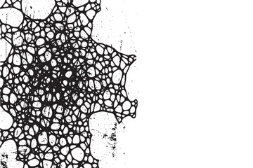 Grungy Black Webbed Organic Mesh Texture on White Background