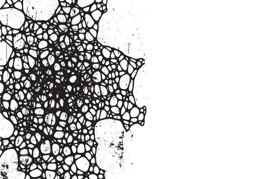 Grungy Black Webbed Organic Mesh Texture on White Background