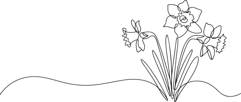 Continuous one line drawing of daffodil flowers. one line art icon drawing vector