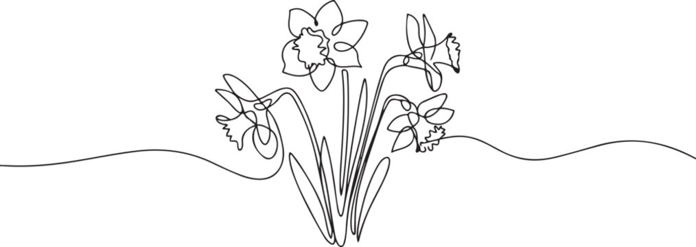 Continuous one line drawing of daffodil flowers. one line art icon drawing vector