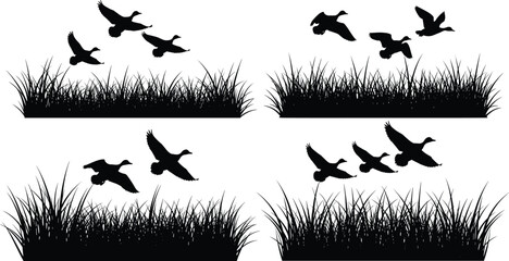 Black silhouettes of wild ducks flying over tall marsh grass isolated on white background, waterfowl hunting and nature landscape design elements for outdoor graphics © Creative Minds