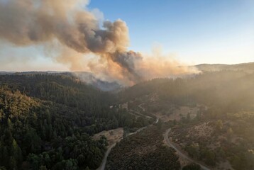 Forest Fire Smoke Billowing Over Evergreen Hills During Golden Hour Evoking Urgency and Environmental Concerns Related to Climate Change Effects on Natural Landscapes