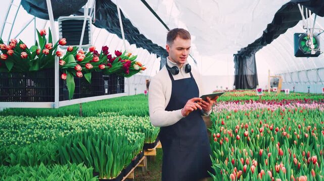 Man inspecting tulip trays with tablet, monitoring climate and sensor data, updating inventory records, scheduling orders, modern nursery workflow, efficiency focus for small business