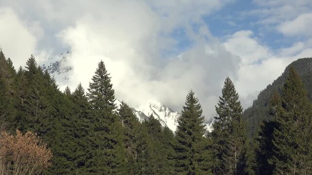 Mountain clouds move over pine valley, snow peaks, changing light, unstable weather scene. Alpine conifers frame a quiet panorama as sunbeams sweep slopes, revealing serene atmosphere.