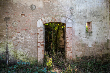 L'ingresso di un corpo di guardia del vecchio forte militare abbandonato di Ca' Roiman, isola della laguna di Venezia, invaso dalla vegetazione © Andrea Vismara