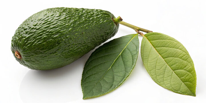 A ripe avocado sits next to two green leaves on a plain white surface. The avocado has a textured skin and a smooth shape, highlighting its natural features and freshness