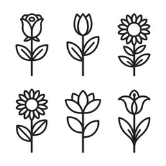 Botanical line art set with various flower species on long thin stems
