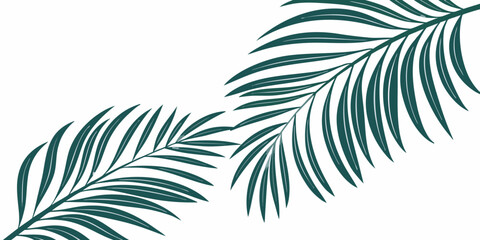Minimalist dark green tropical palm leaves illustration, vector