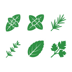 Set of green herb leaves isolated on white background for cooking recipes