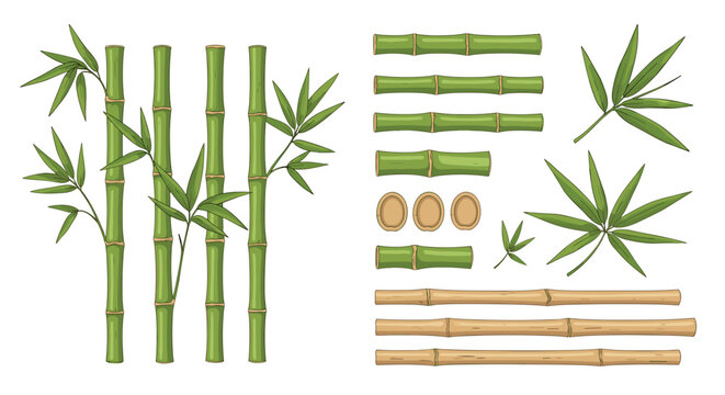 Vibrant green bamboo stalks with leaves and segments arranged compositionally alongside natural brown bamboo pieces