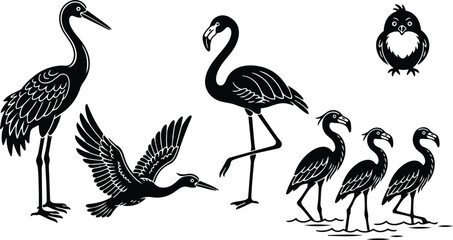 Fototapeta premium Minimalist vector silhouette of crane heron and flamingo group with flying heron close up standing poses in shallow water monochrome