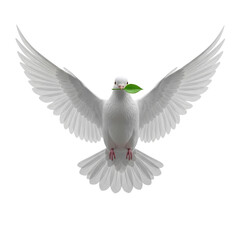 Obraz premium Dove of Peace with Olive Branch
