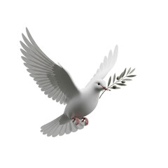 Fototapeta premium Dove of peace with olive branch flying