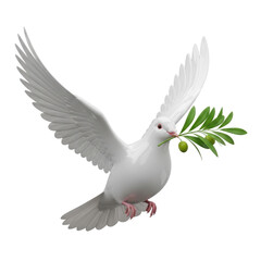 Obraz premium Dove with olive branch symbolizing peace
