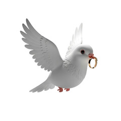 Fototapeta premium Dove with Wedding Ring