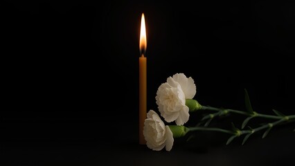 single burning candle with white carnation flowers on black background