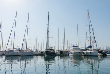Obraz premium Many yachts with tall masts at harbor pier on sunny day