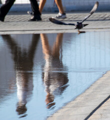 Reflejo a&eacute;reo.