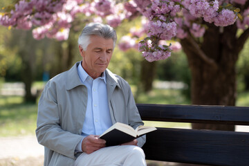 Elderly man enjoying a book under blooming cherry blossom trees