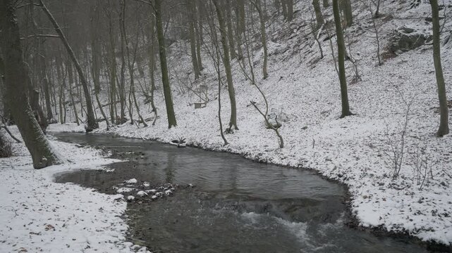 Snowy Forest Stream in Little Carpathians, Slovakia