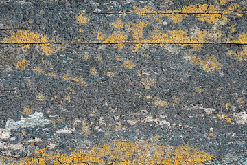 Rustic weathered wood texture with peeling paint and yellow moss.