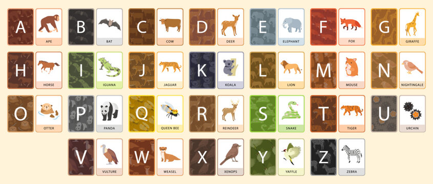 English alphabet flashcards for kids learning ABCs. Educational colorful alphabet chart with illustrations and vocabulary words for print, preschool, homeschool, kindergarten, nursery, classroom. 