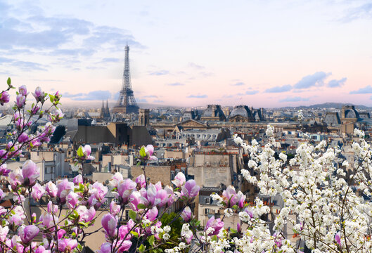 skyline of Paris city roofs with Eiffel Tower from above with spring tree, France