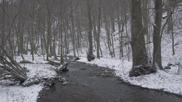 Snowy Forest Stream in Little Carpathians, Slovakia