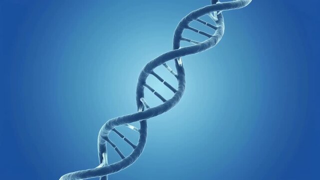 3D rendering of a rotating DNA double helix strand on a blue background for science and genetics concepts